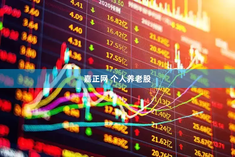嘉正网 个人养老股