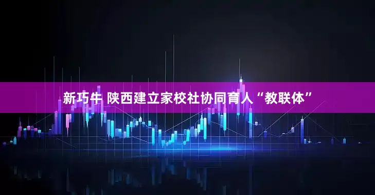 新巧牛 陕西建立家校社协同育人“教联体”