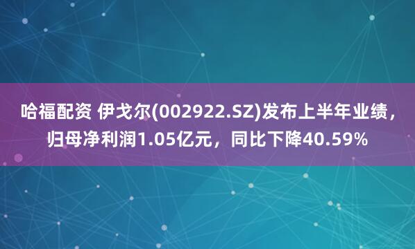 哈福配资 伊戈尔(002922.SZ)发布上半年业绩，归母净利润1.05亿元，同比下降40.59%